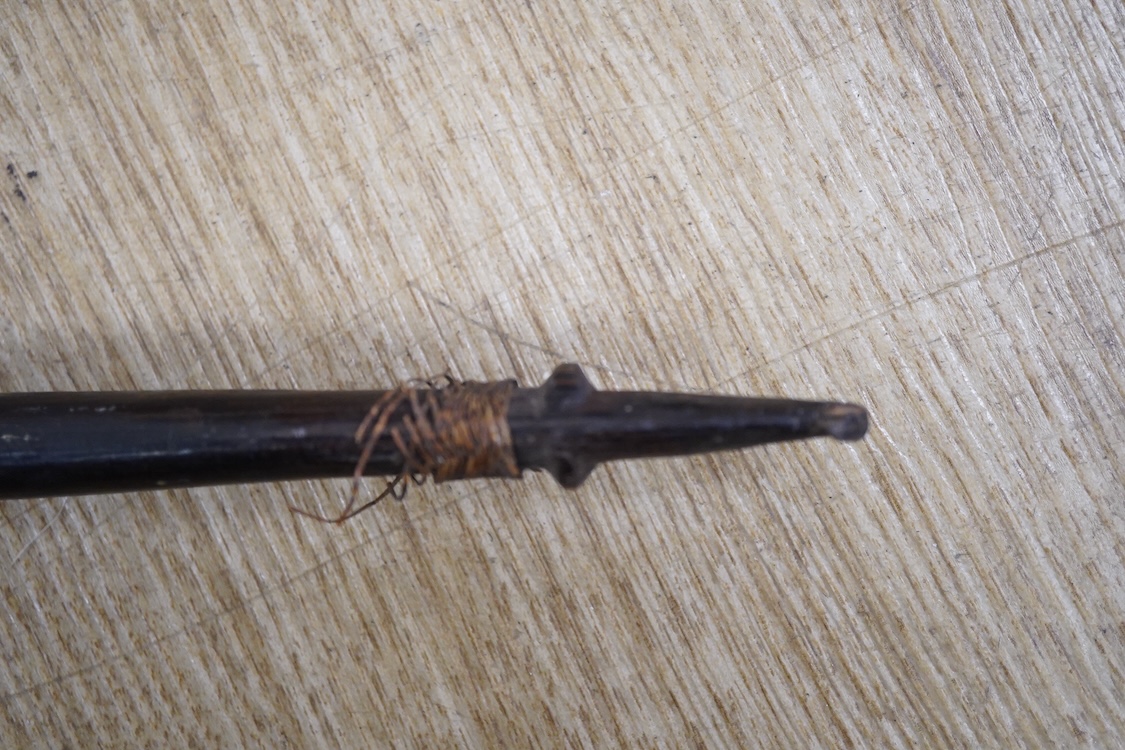 A Nigerian tribal ebony staff, 169cm long
